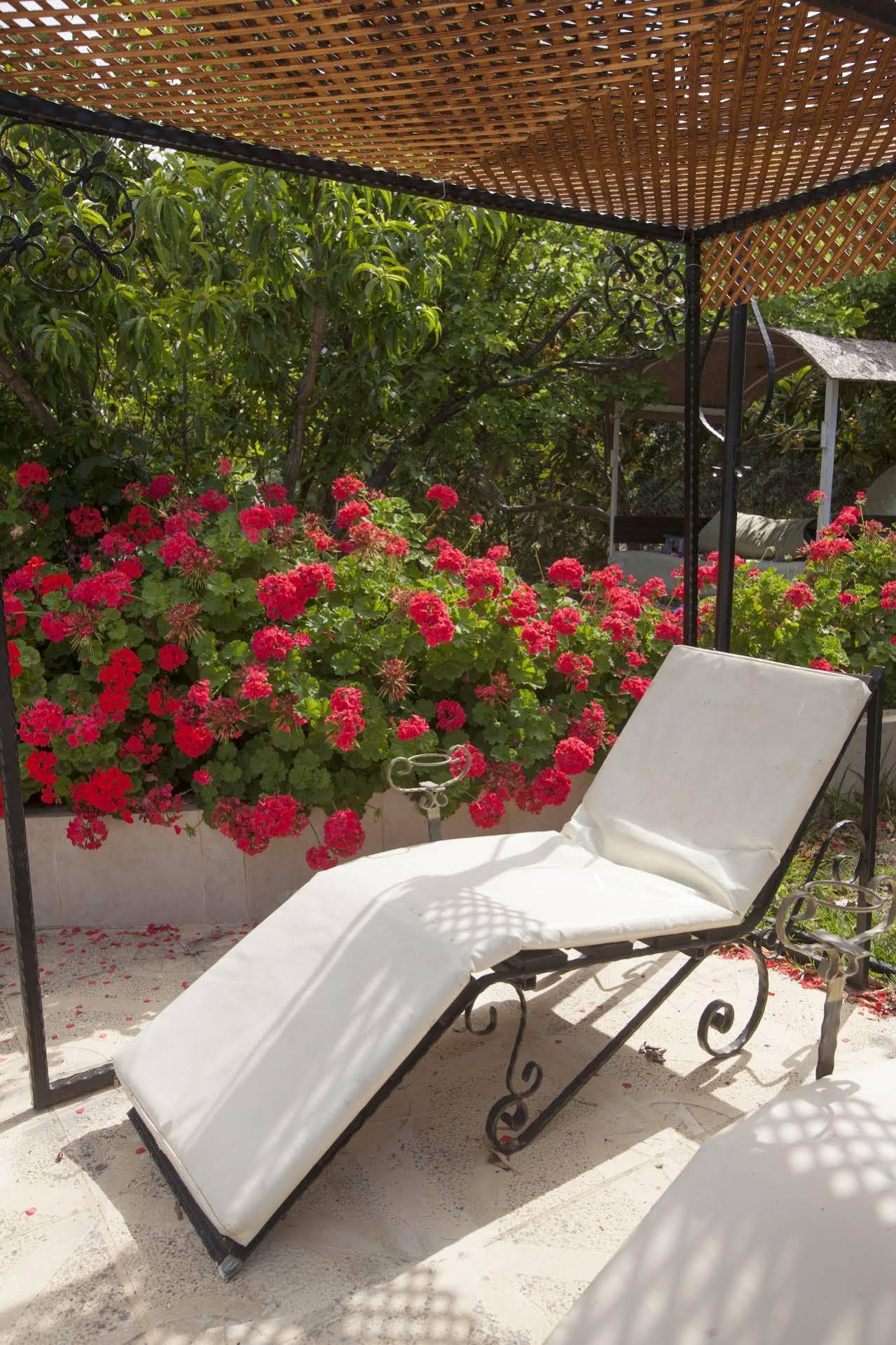 Lapida Garden Hotel Lapithos  Exterior photo